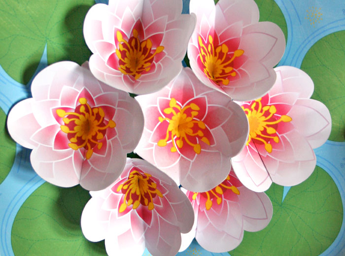 Seerosen aus Papier